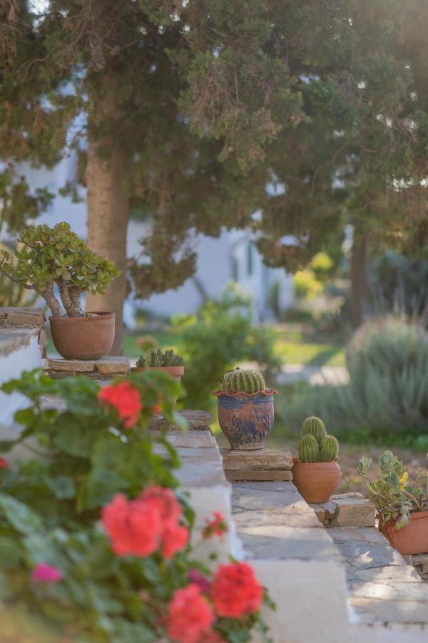Antonina Hotel Agia Anna  Eksteriør billede